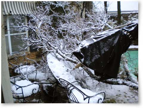 ''We have tree limbs all over our roof, yard and patio.  Damaged the picnic table and maybe the roof.  Afraid to let the dogs out for too long because the limbs keep cracking.  Anybody got a chain saw?  :)  Tree trimmers are going to make up for a lot of lost business.
Hope you guys had better luck.''