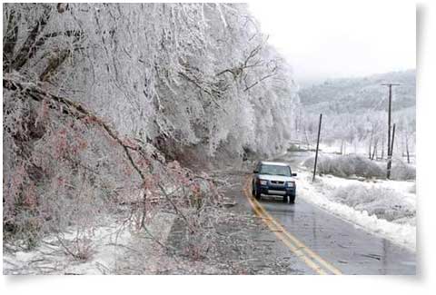 Terry Smith of North Carolina shares pictures of an ice storm that took out miles of power lines.